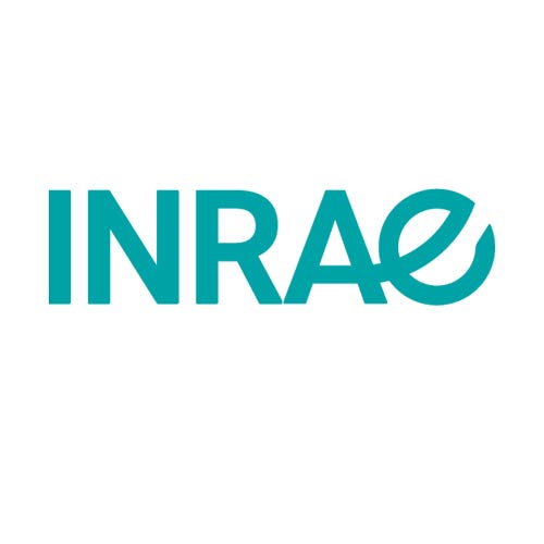 Logo Inrae